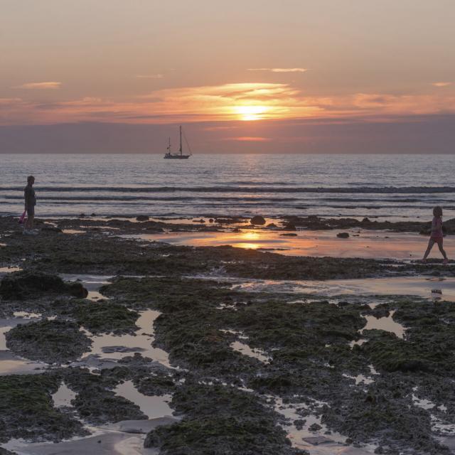 Mers-les-Bains_peche a pied© Crt Hauts de France -Nicolas Bryant