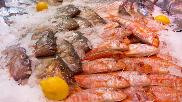 Le Touquet, poissonnerie Ramet