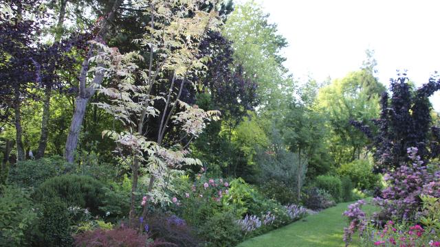 Penin _Reflets de Jardin_ Le Cedrela© Reflets de jardin