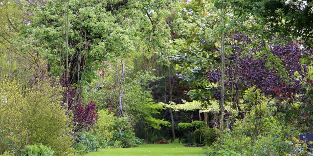 Nordfrankreich_Les Chemins©Reflets de jardin