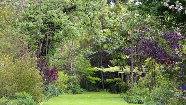 Penin _Reflets de Jardin_ les chemins© Reflets de jardin