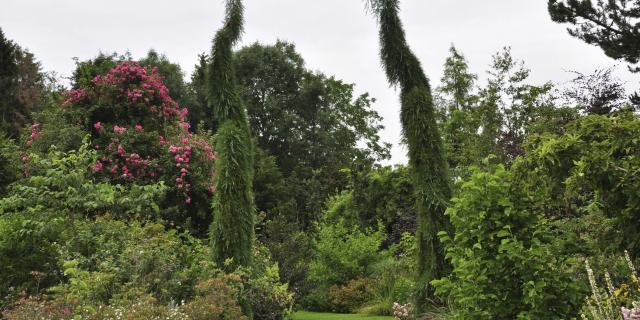 Nordfrankreich_Les Sequoia©Reflets de jardin