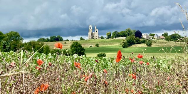 Mont Saint Eloi Et Coquelicots @claire Decraene Arras Pays D'artois Tourisme