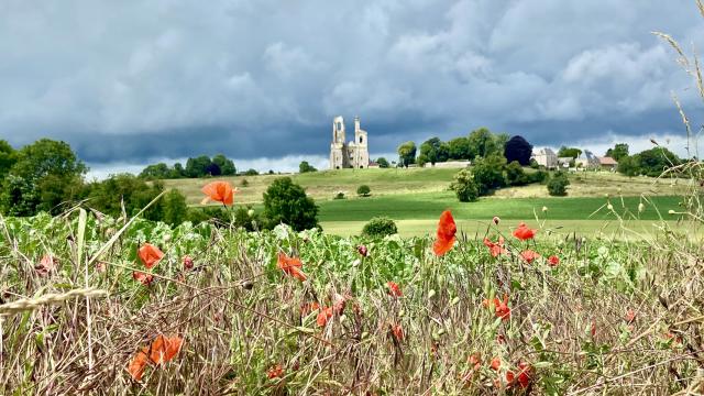 Mont Saint Eloi Et Coquelicots @claire Decraene Arras Pays D'artois Tourisme