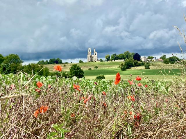 Mont Saint Eloi Et Coquelicots @claire Decraene Arras Pays D'artois Tourisme