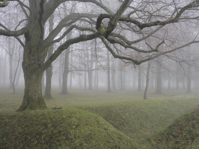 Beaumont-Hamel_Tranchées dans la brume ©CRTC Hauts-De-France-Garry Wasikowski