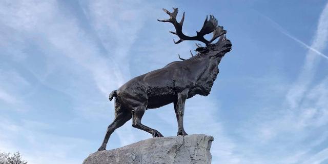 Northern France _ Beaumont-Hamel _ Caribou statue © Somme Tourisme _ D. Bojda