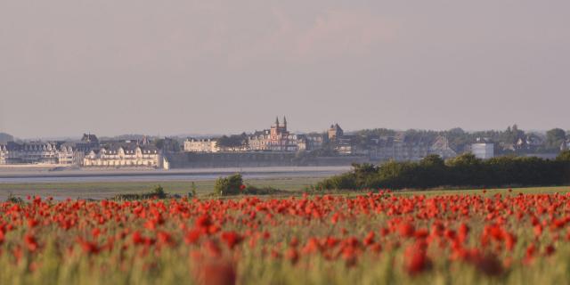 Coquelicotcrotoy ©CRTC Hauts-De-France-Nicolas Bryant