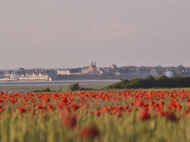 Coquelicotcrotoy ©CRTC Hauts-De-France-Nicolas Bryant