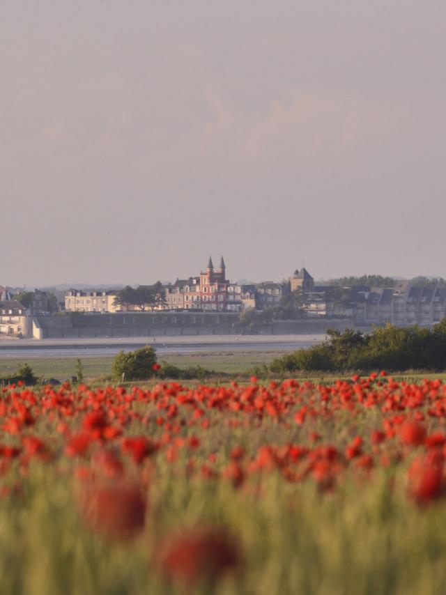 Coquelicotcrotoy ©CRTC Hauts-De-France-Nicolas Bryant