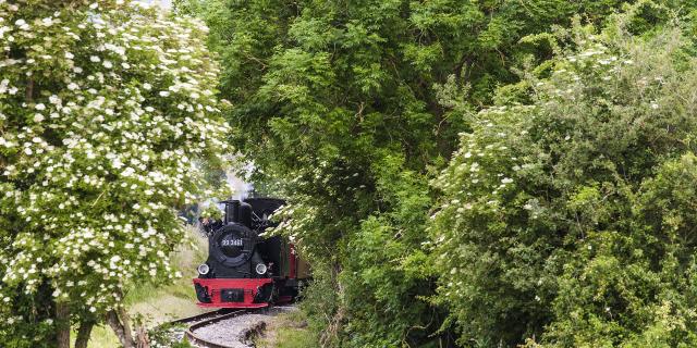 Train Haute-Somme ©Somme Tourisme - TVergoz - FTommassini (43)