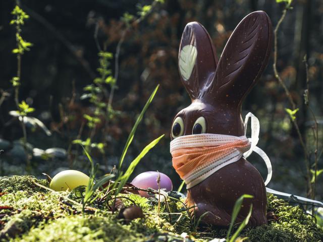 Chasse aux oeuf et lapin paques© Pexels Susanne Jutzeler