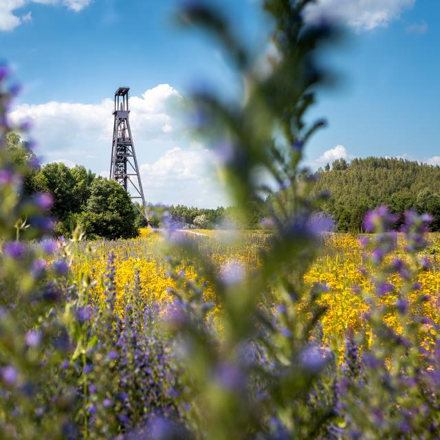 Nordfrankreich, Condé-sur-l'Escaut