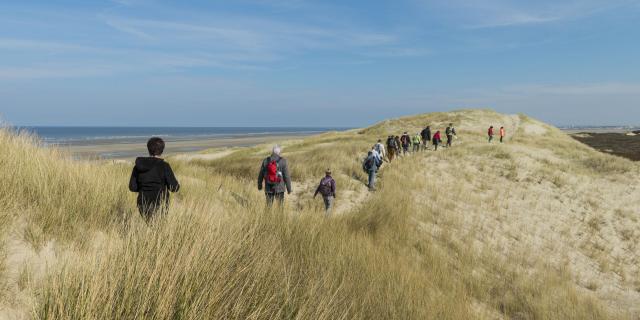 Northern France _ Fort-Mahont _ Baie d'Authie _ A group hiking © CRTC Hauts-de-France _ Stéphane Bouilland