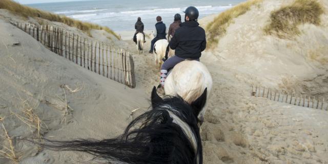 Northern France _ Le Touquet Paris Plage _ Horse riding © OT Le Touquet _ Jean-David Hestin