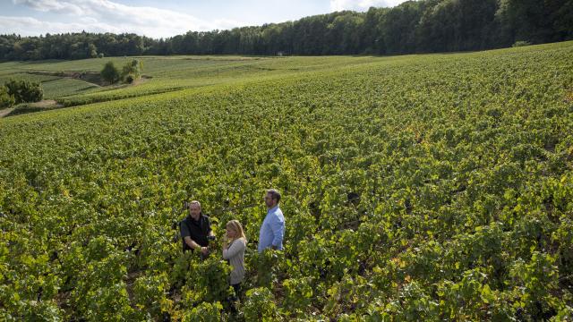 Aisne_Couple_Balade_Vignoble_De_Champagne © CRTC_Hauts_De_France_Benjamin_Teissedre