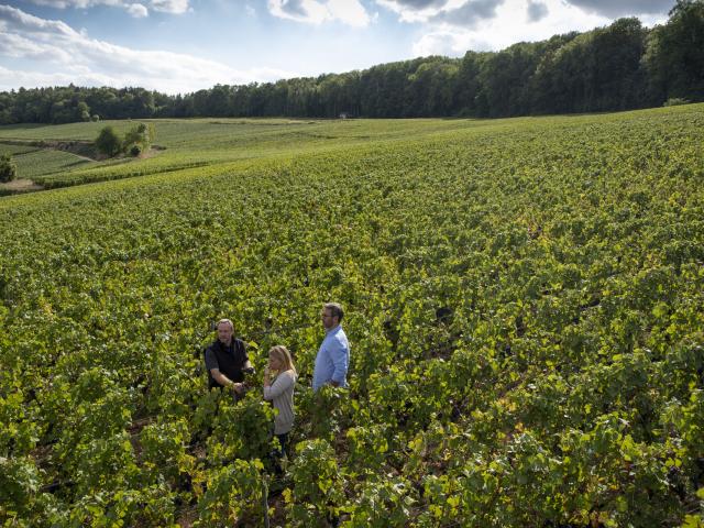 Aisne_Couple_Balade_Vignoble_De_Champagne © CRTC_Hauts_De_France_Benjamin_Teissedre