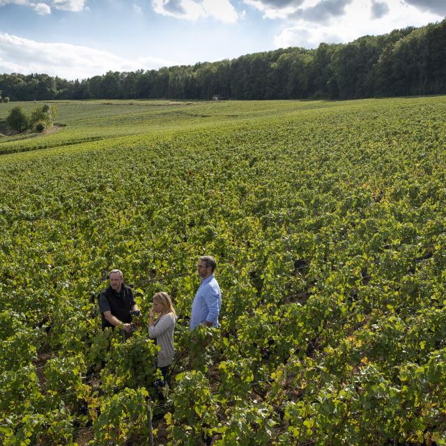 Aisne_Couple_Balade_Vignoble_De_Champagne © CRTC_Hauts_De_France_Benjamin_Teissedre