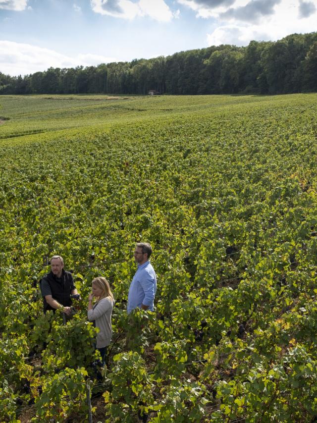 Aisne_Couple_Balade_Vignoble_De_Champagne © CRTC_Hauts_De_France_Benjamin_Teissedre