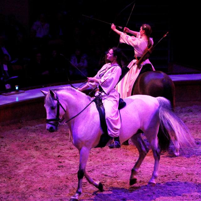 Chantilly-spectacle-equestre-recadrage-1920px.jpg