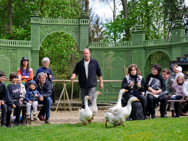 Chantilly _ Potager des Princes © CRT Hauts-de-France - Vincent Colin