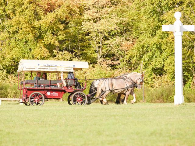 Compiègne balade en calèche dans le parc du château © Résonances film - Guillaume Chacun