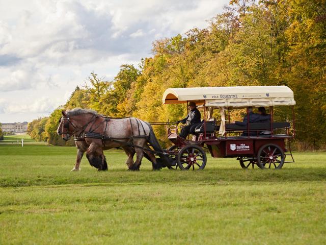 Compiègne balade en calèche dans le parc du château © Résonances film - Guillaume Chacun