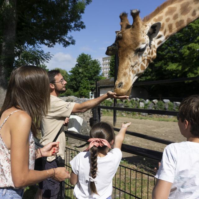 Le zoo de Maubeuge