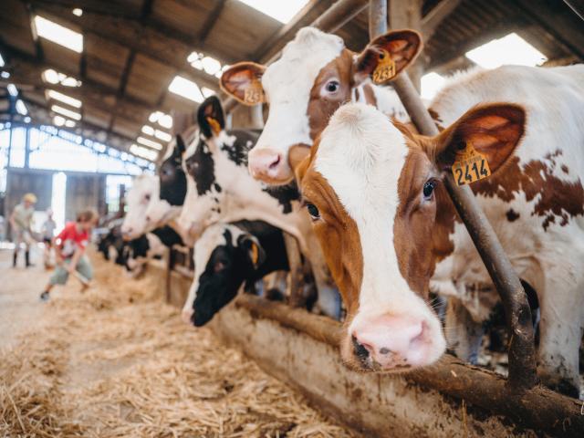 Ferme Pedago Au Pti Coin De Campagne Lucie Nicolas 1