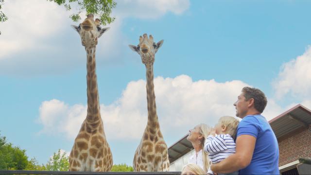 Maubeuge, le zoo crédits Hauts-de-France Tourisme_ Hikari