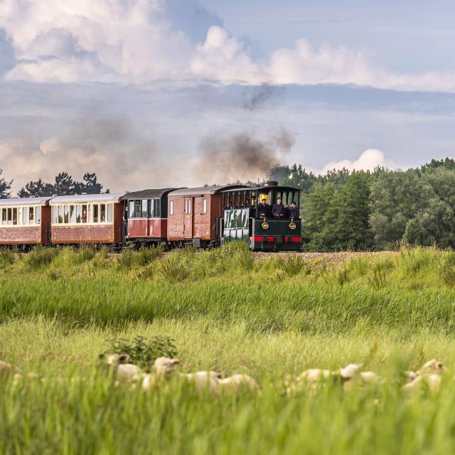 France, Somme (80), Baie de Somme, Noyelles-sur-mer, Fête de la vapeur 2021, trains à vapeur sur la digue entre noyelles et Saint-Valery // France, Somme (80), Bay of the Somme, Noyelles-sur-mer, Steam Festival 2021, steam trains on the dam between noyelles and Saint-Valery