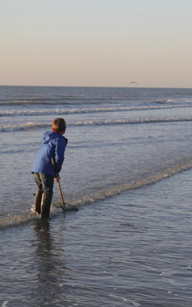 Hauts De France Tourisme Peche A La Crevette Quendhauts De France Tourisme Remi Feuillette