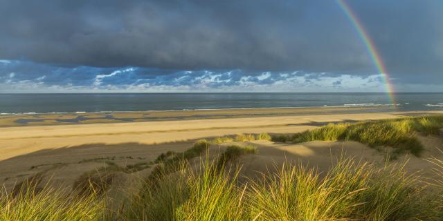 Berck-sur-mer