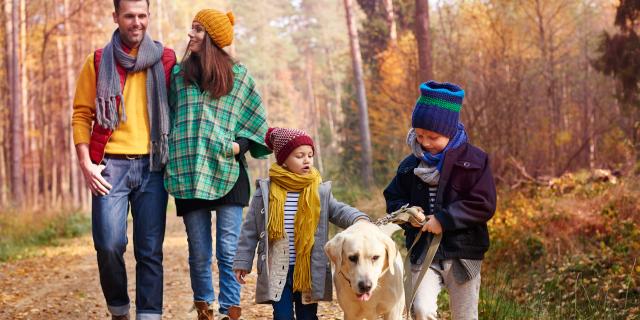 Famille En Foret En Automne Credit Gpointstudio Freepik