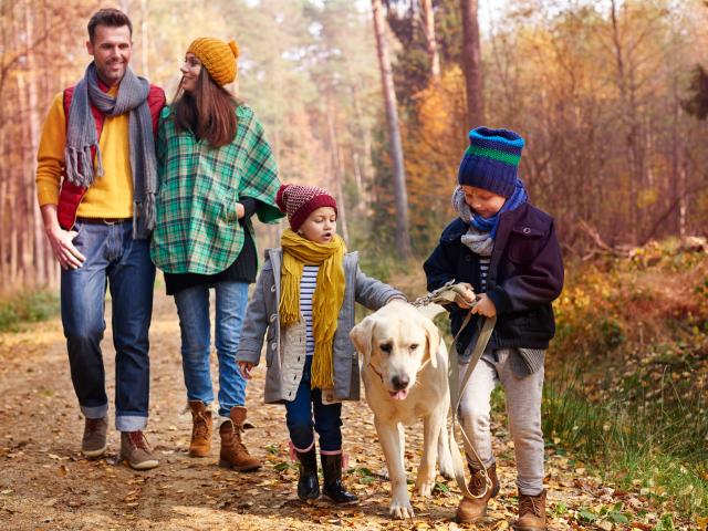 Famille En Foret En Automne Credit Gpointstudio Freepik