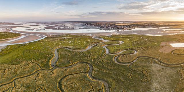 Baie de Somme, Le Crotoy, les méandres des rieux dans les mollières face au Crotoy, au petit matin à marée basse (vue aérienne) © CRTC Hauts-de-France - Stéphane BOUILLAND