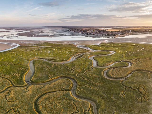 Baie de Somme, Le Crotoy, les méandres des rieux dans les mollières face au Crotoy, au petit matin à marée basse (vue aérienne) © CRTC Hauts-de-France - Stéphane BOUILLAND