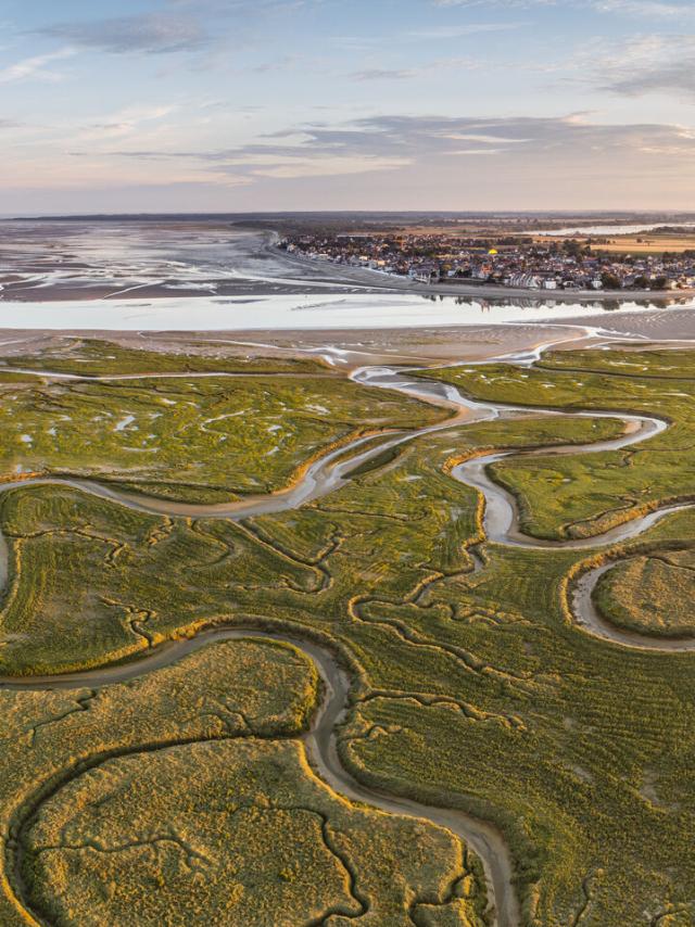 Baie de Somme, Le Crotoy, les méandres des rieux dans les mollières face au Crotoy, au petit matin à marée basse (vue aérienne) © CRTC Hauts-de-France - Stéphane BOUILLAND