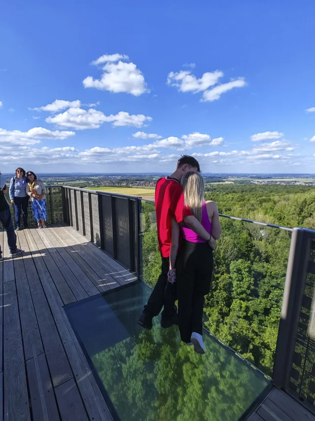 Parc Départemental d'Olhain (Pas-de-Calais, 62). La plateforme du Belvédère du Parc d’Olhain culmine à 210m d'altitude et la plus haute plateforme se situe à 30 mètres au dessus de la plaine de jeu