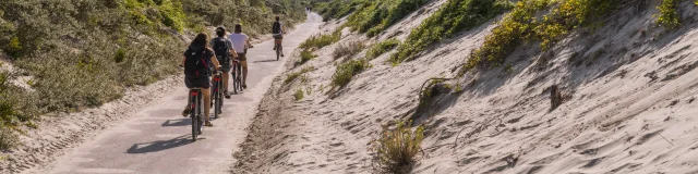 Promenande sur la route blanche entre Cayeux et le Hourdel. Départ de la la Mollière d'Aval et retour en longeant le front de mer. Saison : été - Lieu :  La route blanche, La mollière d'Aval, Baie de Somme, Somme, Hauts-de-France, France.