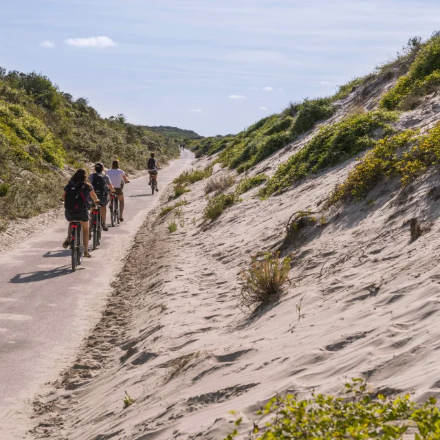 Promenande sur la route blanche entre Cayeux et le Hourdel. Départ de la la Mollière d'Aval et retour en longeant le front de mer. Saison : été - Lieu :  La route blanche, La mollière d'Aval, Baie de Somme, Somme, Hauts-de-France, France.