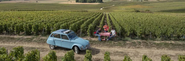 Champagne - vineyard in Northern France credits Hauts De France Tourisme Benjamin Teissedre