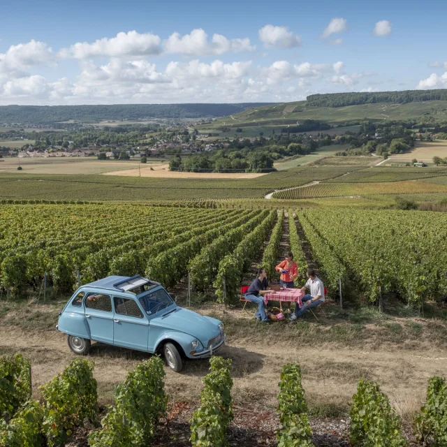 Champagne - vineyard in Northern France credits Hauts De France Tourisme Benjamin Teissedre